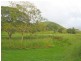 Yungaburra QLD 4884