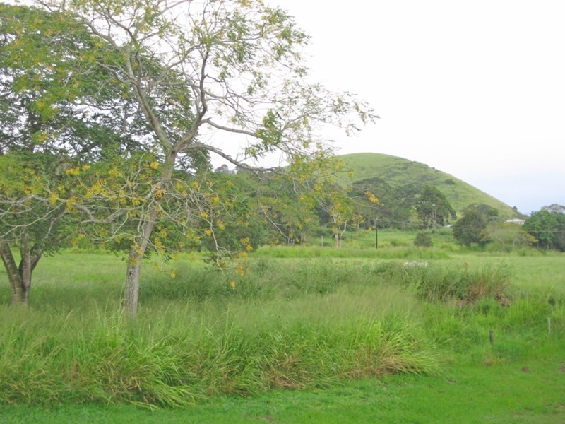 Yungaburra QLD 4884
