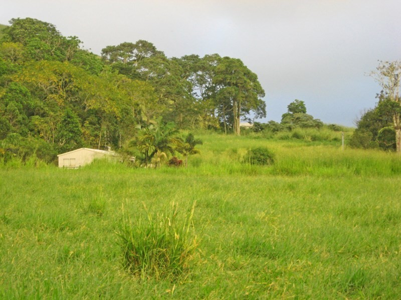 Yungaburra QLD 4884