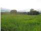 Yungaburra QLD 4884