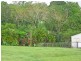 Yungaburra QLD 4884