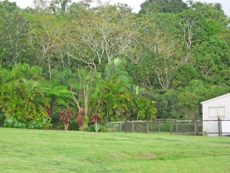 Yungaburra QLD 4884