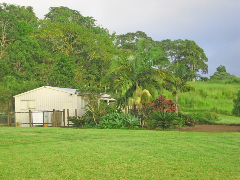 Yungaburra QLD 4884