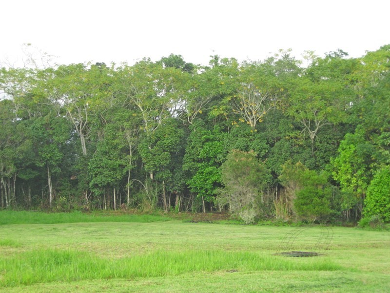 Yungaburra QLD 4884