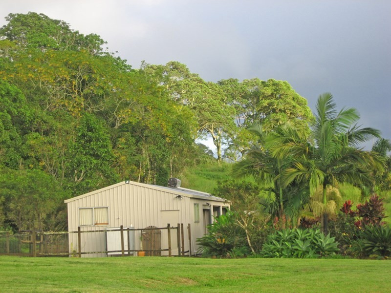 Yungaburra QLD 4884