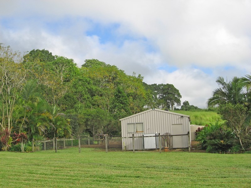 Yungaburra QLD 4884