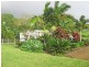 Yungaburra QLD 4884