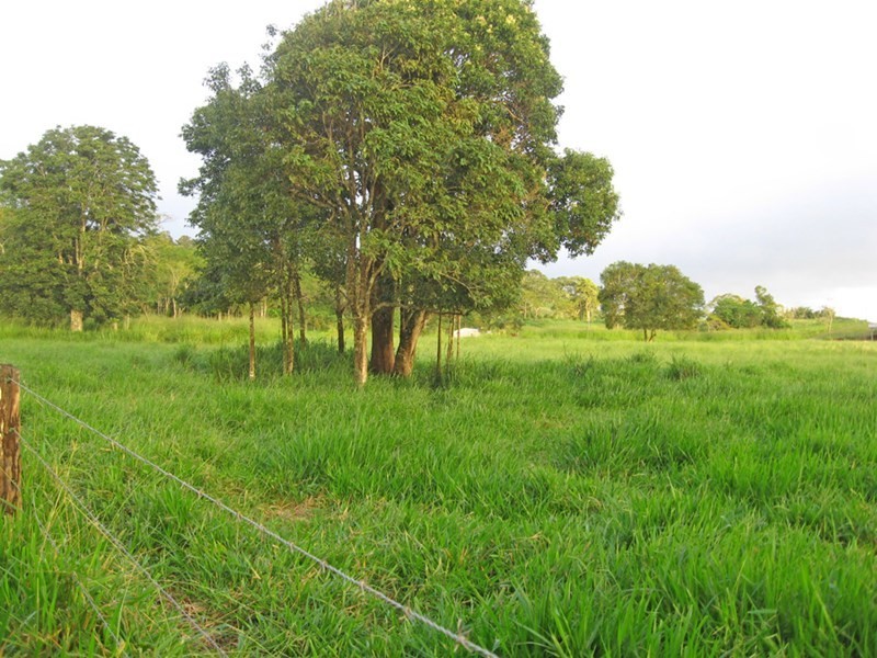 Yungaburra QLD 4884