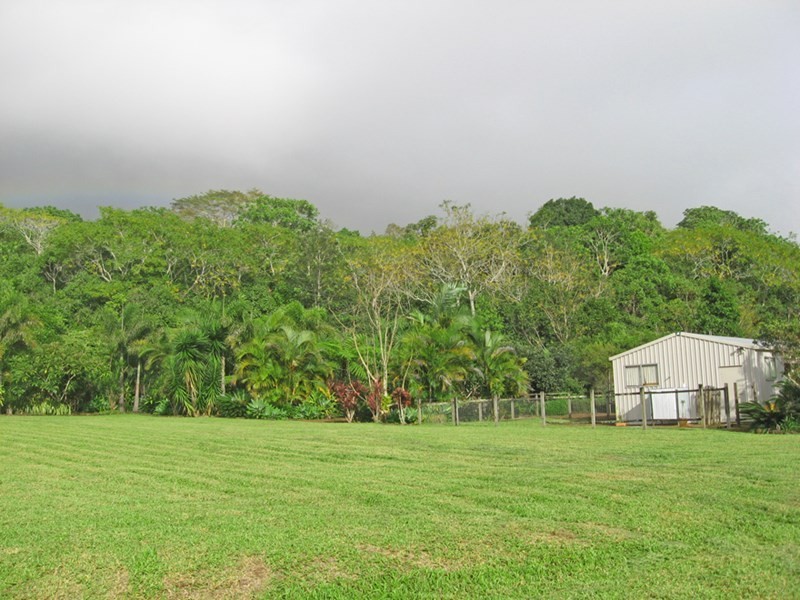 Yungaburra QLD 4884