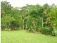 Yungaburra QLD 4884