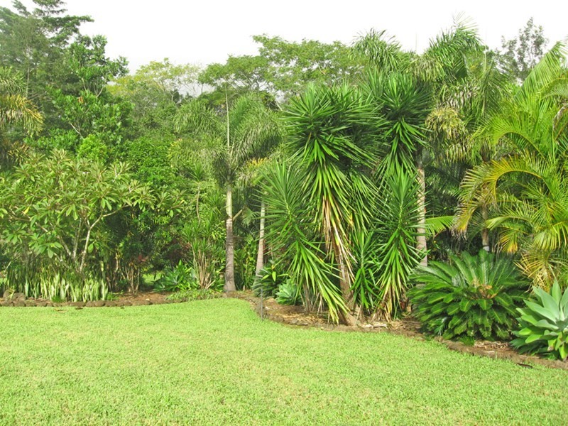 Yungaburra QLD 4884
