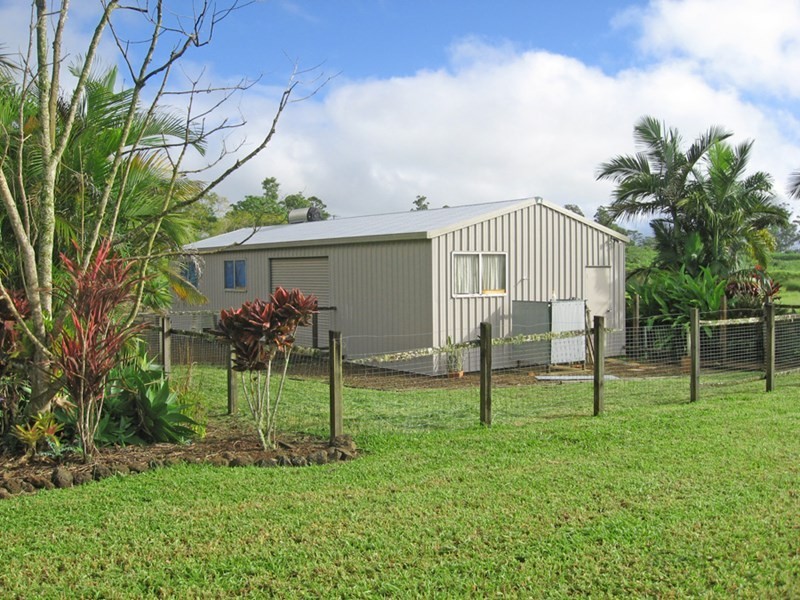 Yungaburra QLD 4884