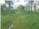 Mutchilba QLD 4872