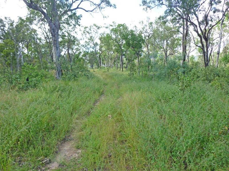 Mutchilba QLD 4872