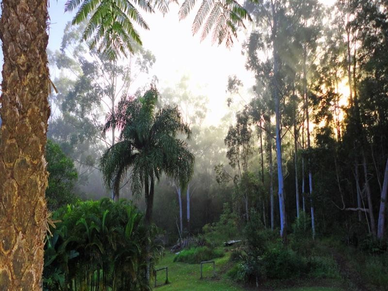 Wondecla QLD 4887