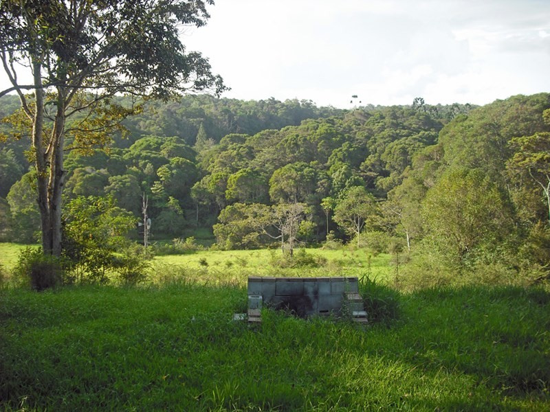 217 Winfield Road, Yungaburra QLD 4884