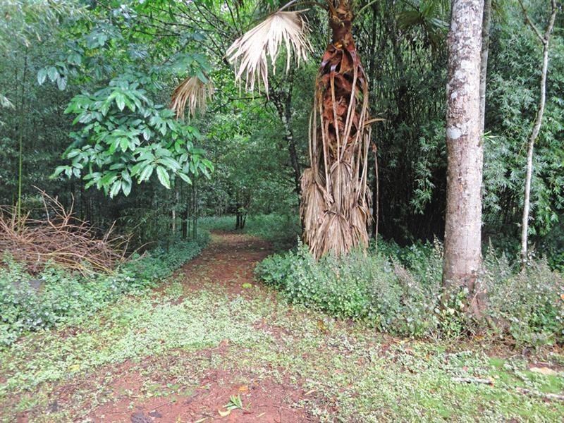 Malanda QLD 4885