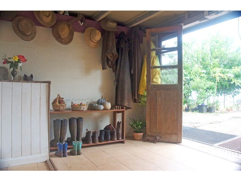 Millaa Millaa QLD 4886