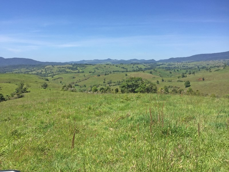Millaa Millaa QLD 4886