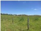 Millaa Millaa QLD 4886