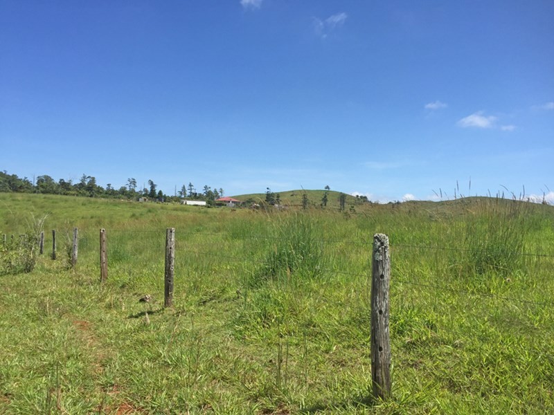 Millaa Millaa QLD 4886