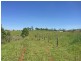 Millaa Millaa QLD 4886