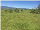Millaa Millaa QLD 4886