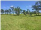 Millaa Millaa QLD 4886