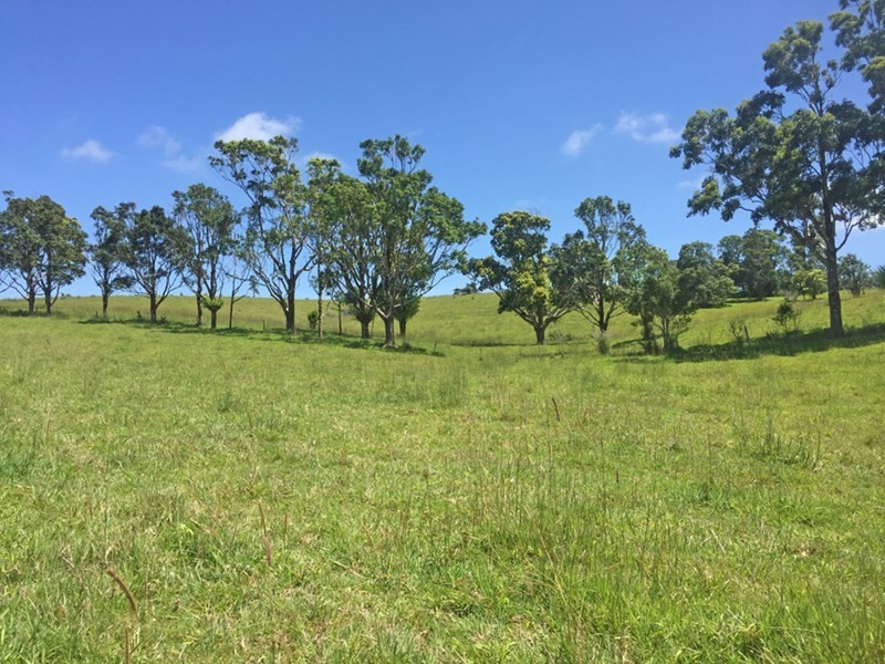 Millaa Millaa QLD 4886