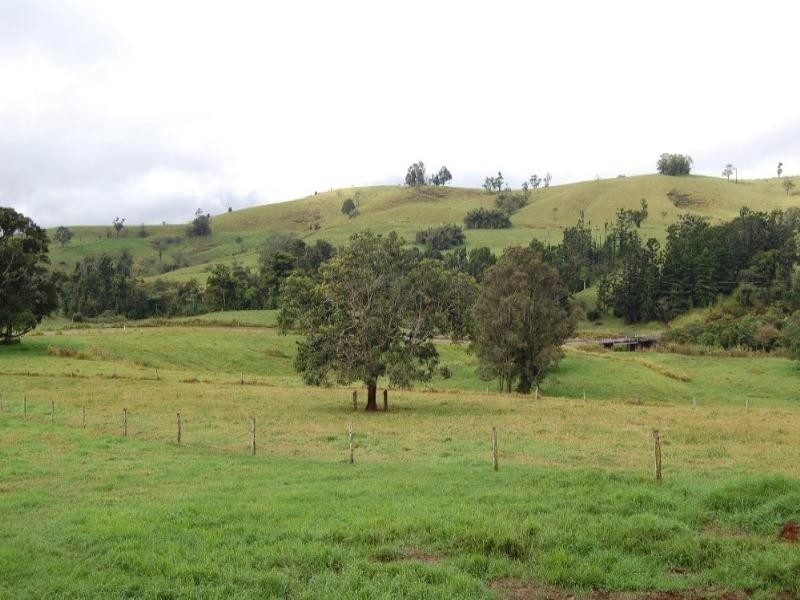 Millaa Millaa QLD 4886