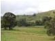 Millaa Millaa QLD 4886