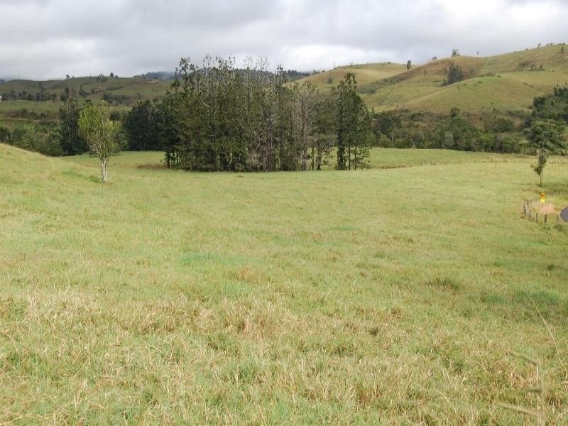 Millaa Millaa QLD 4886