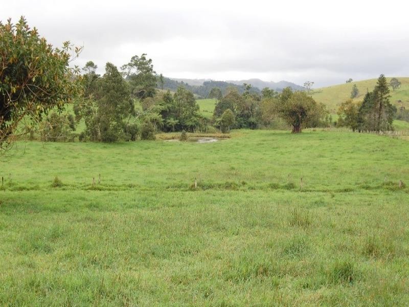 Millaa Millaa QLD 4886