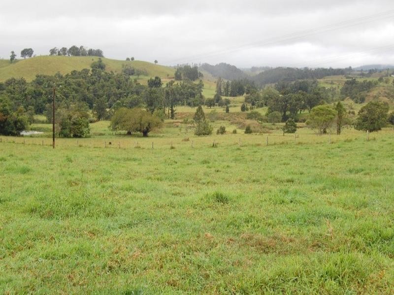 Millaa Millaa QLD 4886