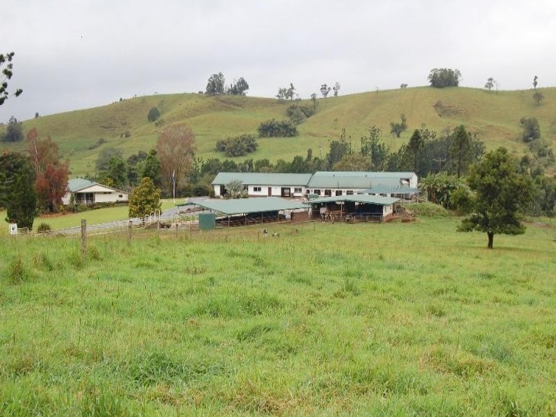 Millaa Millaa QLD 4886