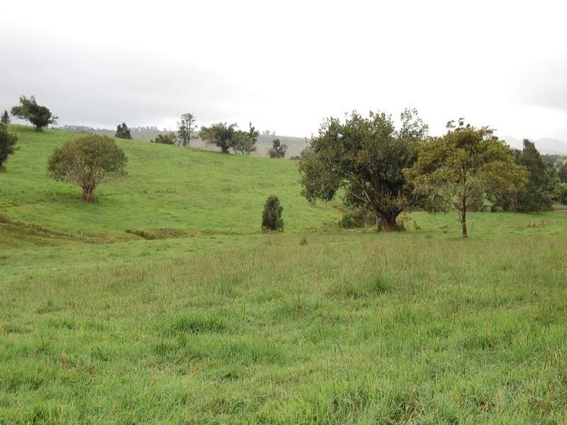 Millaa Millaa QLD 4886