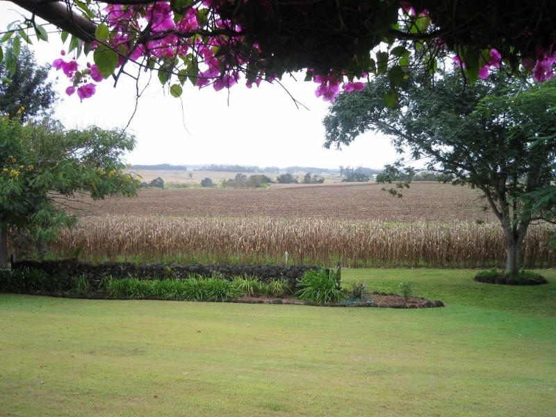 Yungaburra QLD 4884