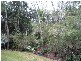 Yungaburra QLD 4884