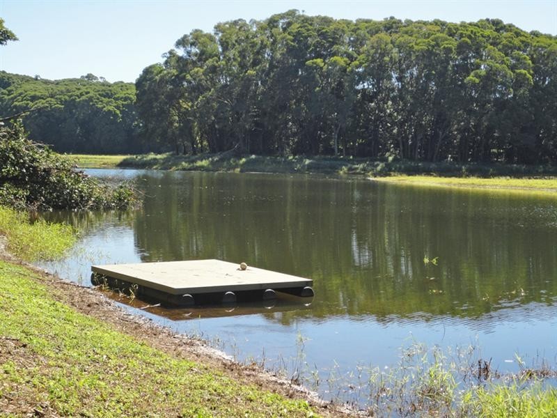 Yungaburra QLD 4884
