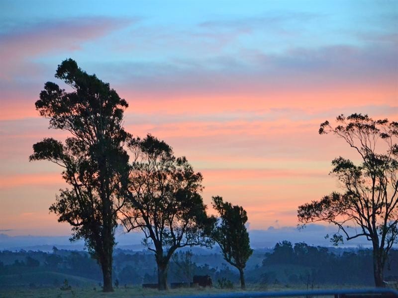 Millaa Millaa QLD 4886