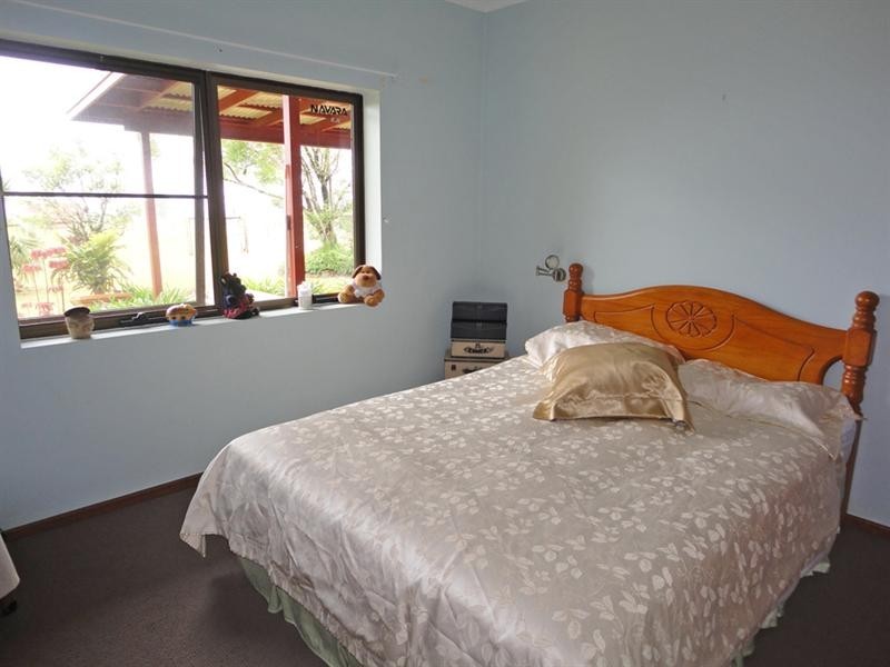 Millaa Millaa QLD 4886