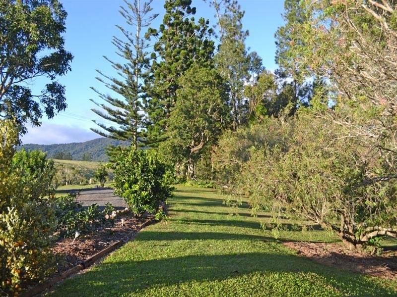 Millaa Millaa QLD 4886