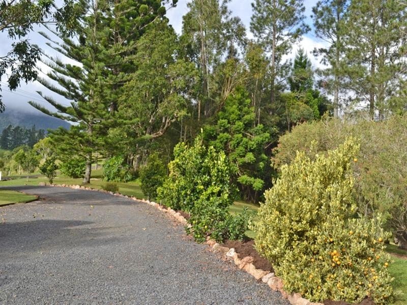 Millaa Millaa QLD 4886