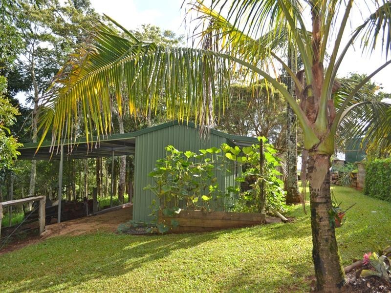 Millaa Millaa QLD 4886