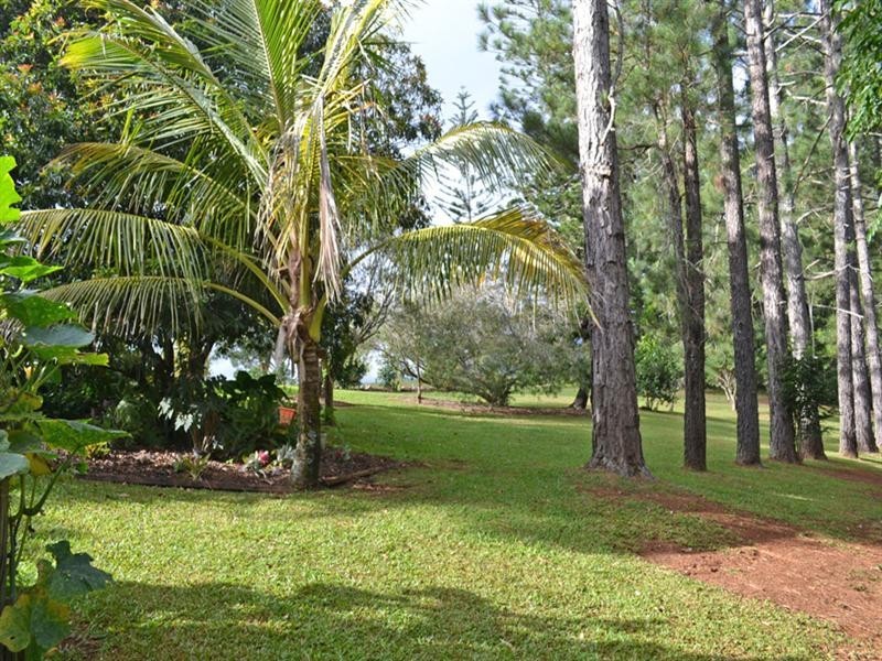 Millaa Millaa QLD 4886