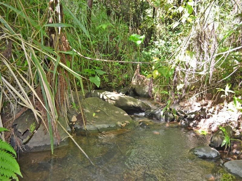 Millaa Millaa QLD 4886