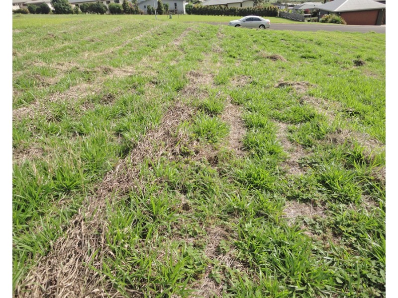 Atherton QLD 4883