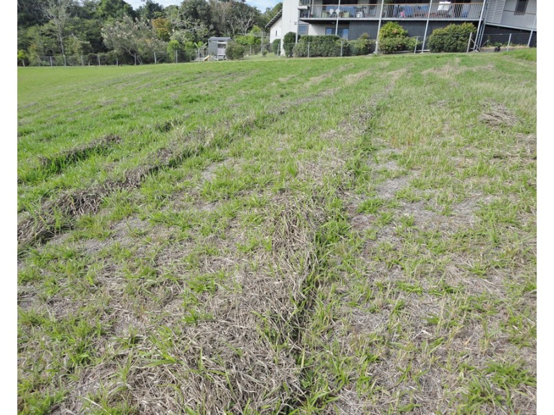 Atherton QLD 4883