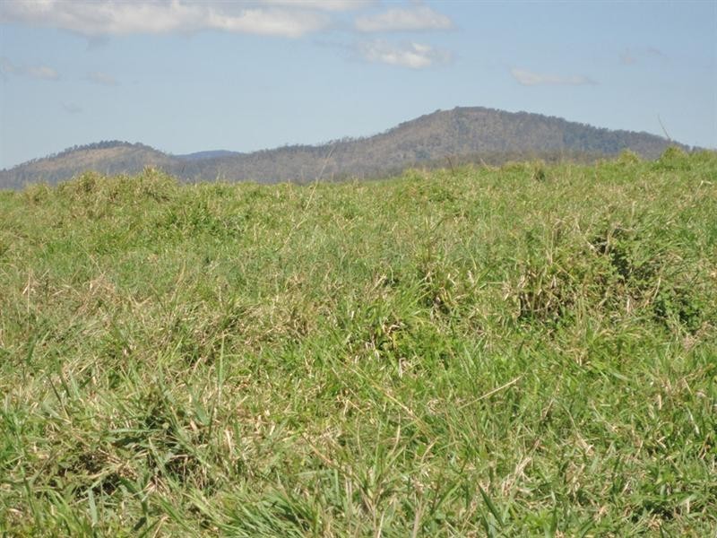 Tolga QLD 4882