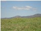 Tolga QLD 4882
